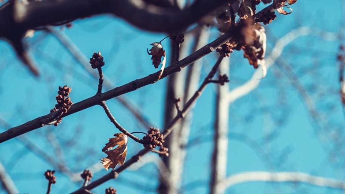 Tratyry ny taona 2026 !